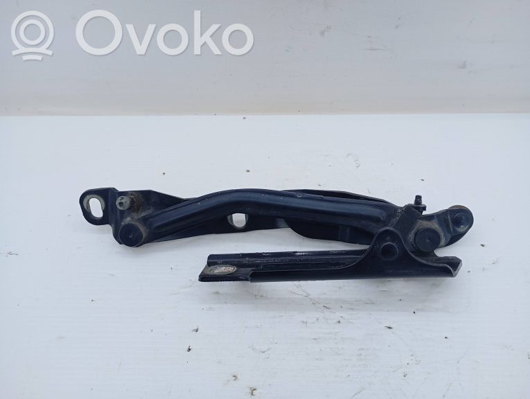 Tailgate hinge   NAOVISIVEL