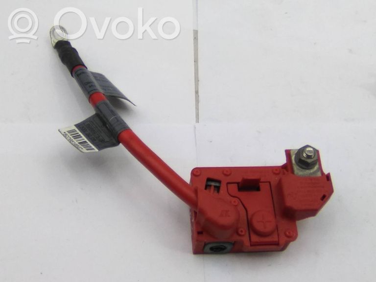 Wiązka przewodów dodatnich   6988975
