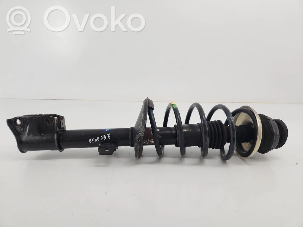 Stoßdämpfer vorne   543029903R