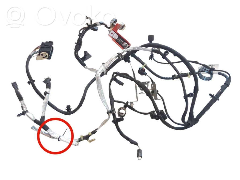 Ford Focus Cableado positivo 