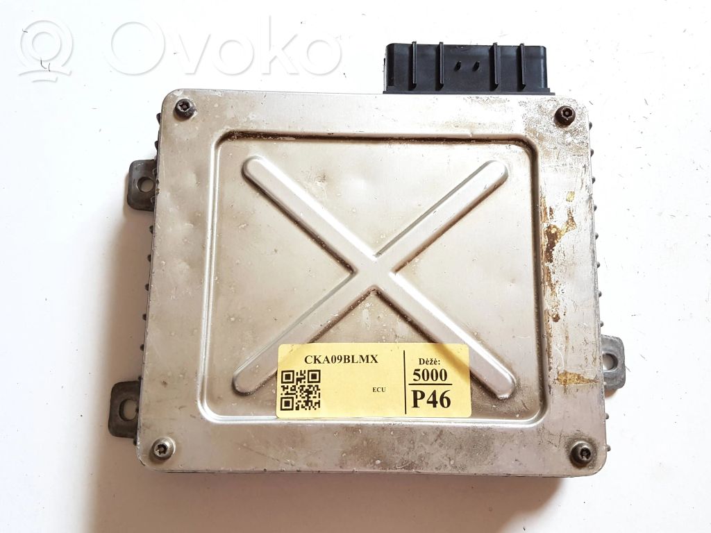 Land Rover Discovery Engine control unit/module 