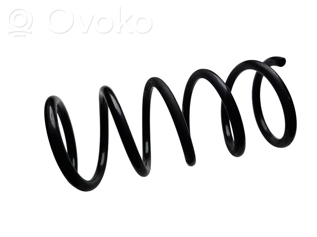 Sprężyna tylna   31454440