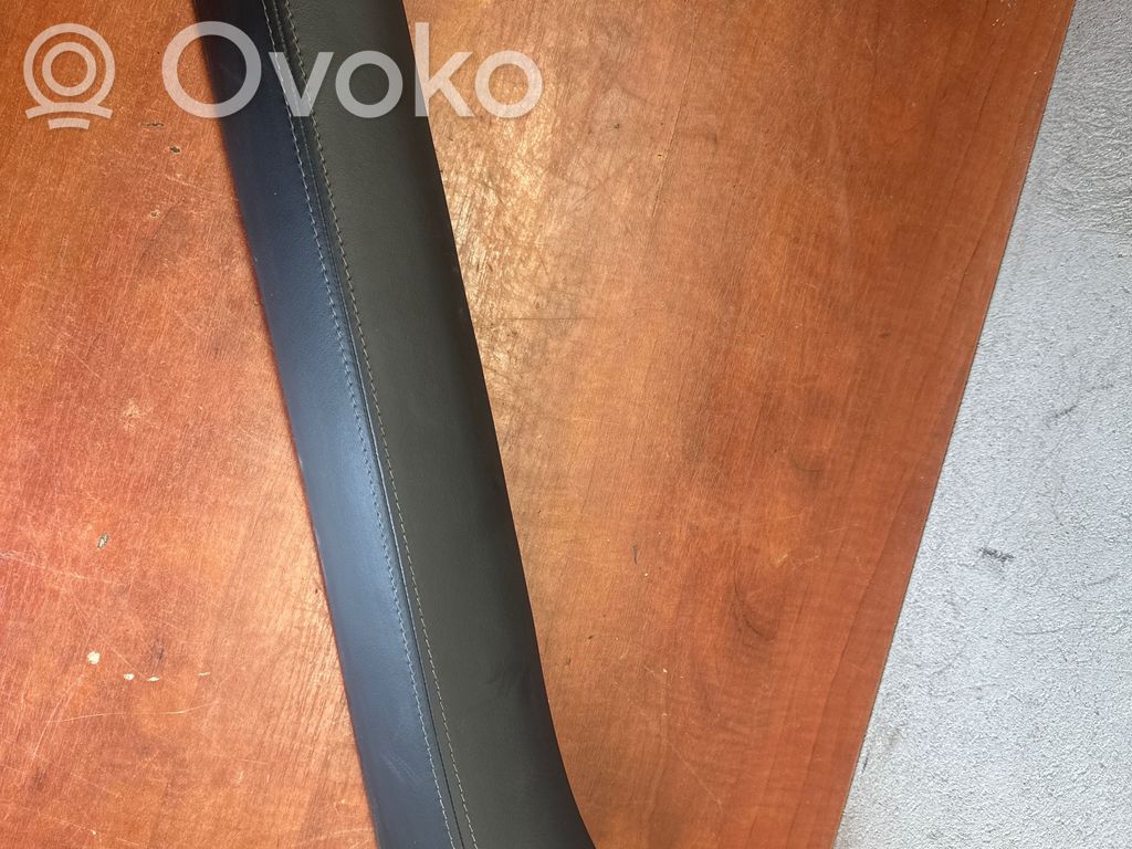 Dodge RAM Panel trim 