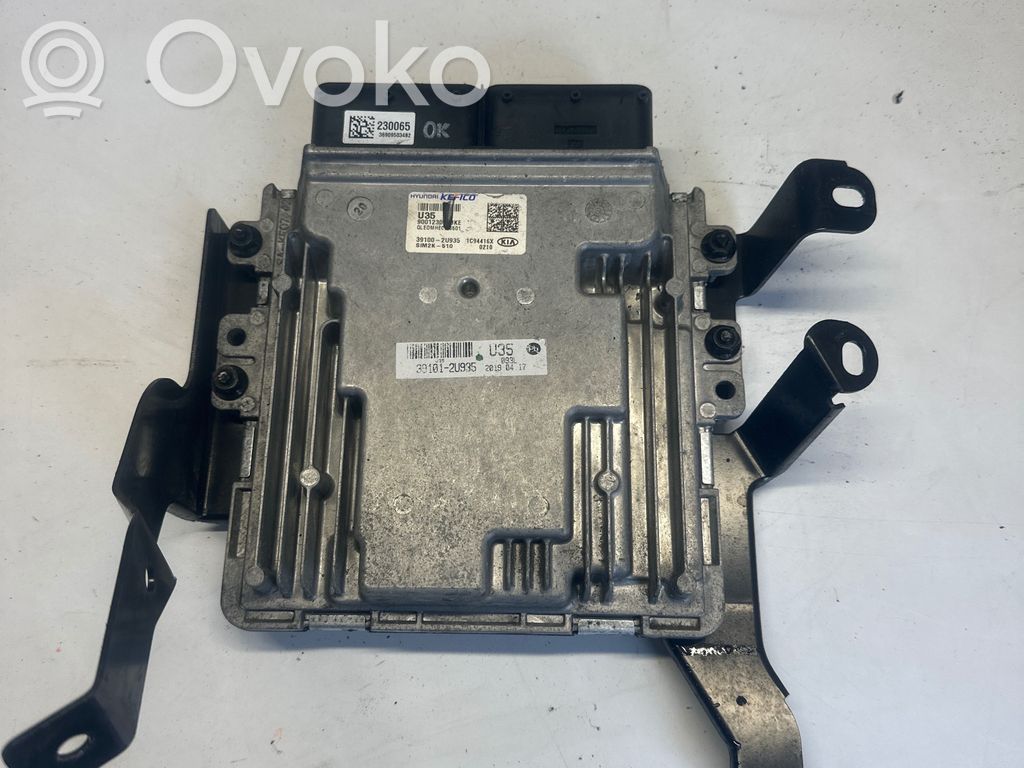 KIA Sportage Engine control unit/module 