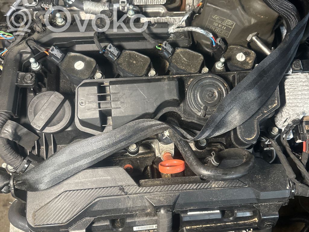 Hyundai Tucson IV NX4 Variklis 