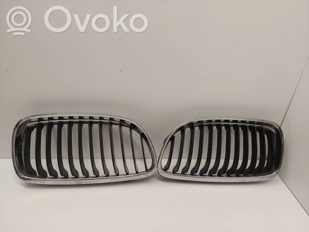 Front grill   7201968