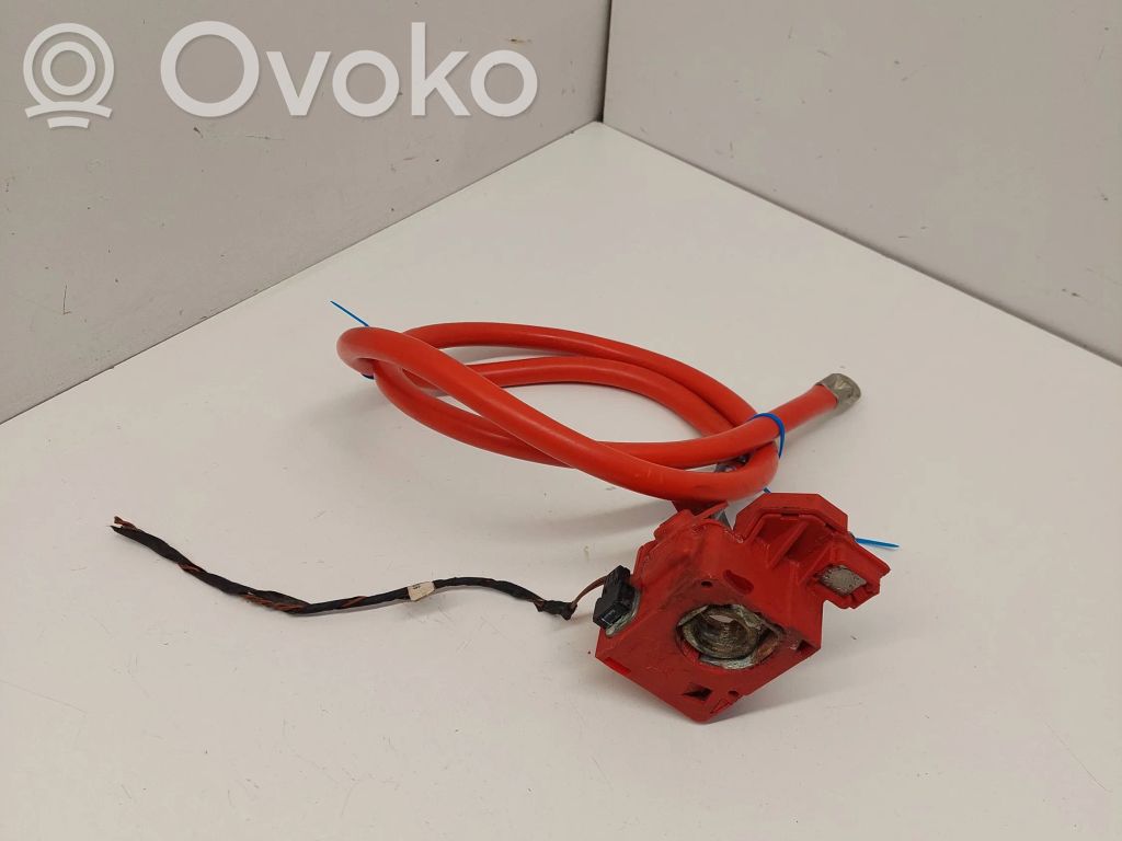 Positive cable (battery)   6989782,507998816,6989781,KX3506