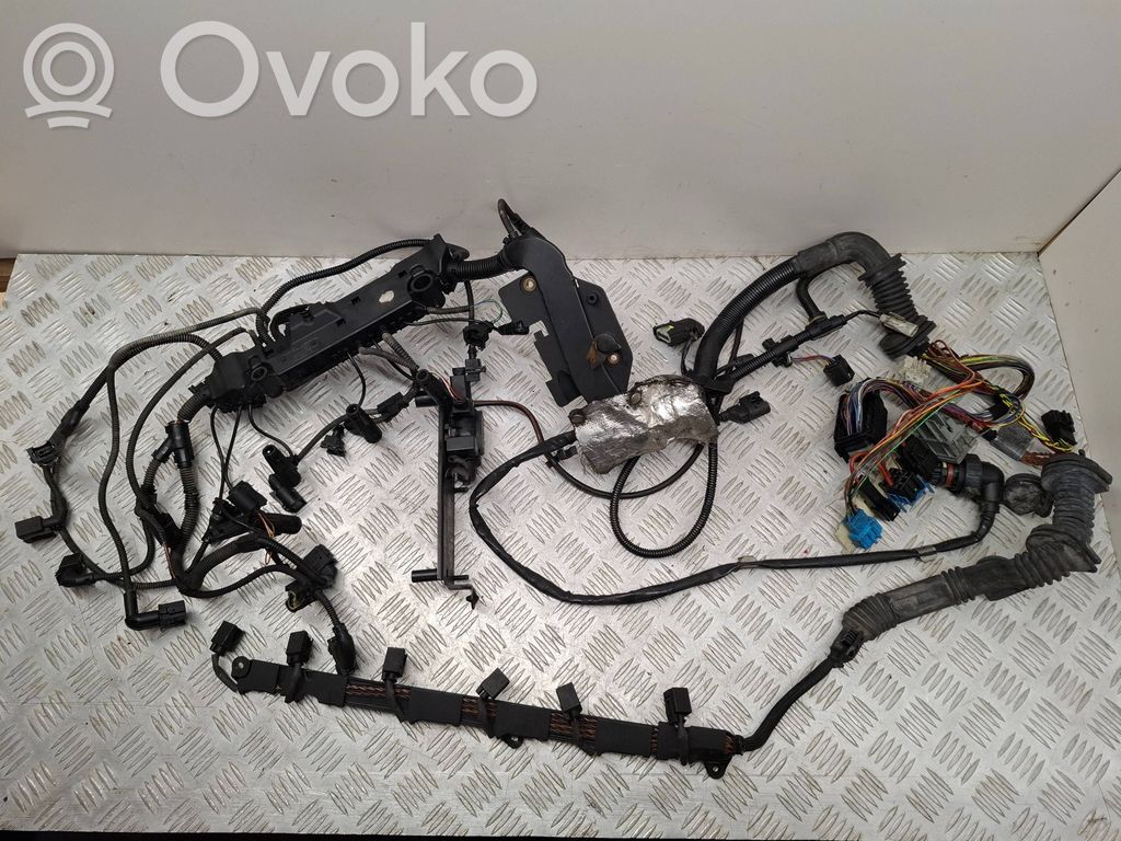 Engine installation wiring loom   7801726,53781210