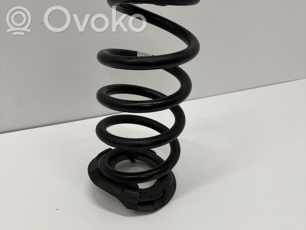Tesla Model Y Muelle espiral trasero 