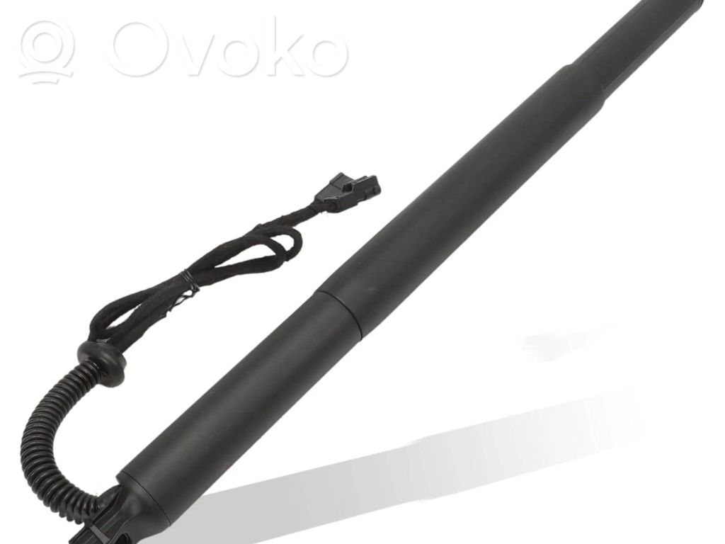 BMW X6 E71 Tailgate/trunk strut/damper 