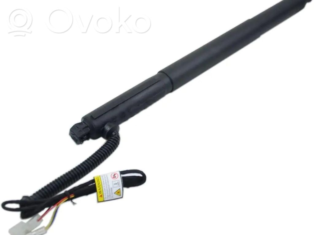 BMW X6 E71 Tailgate/trunk strut/damper 