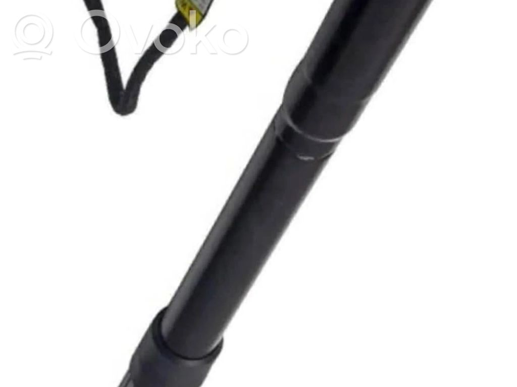 Ford Grand C-MAX Tailgate/trunk strut/damper 