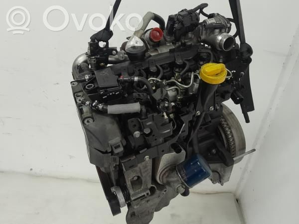Variklis   K9K,166006212R,657