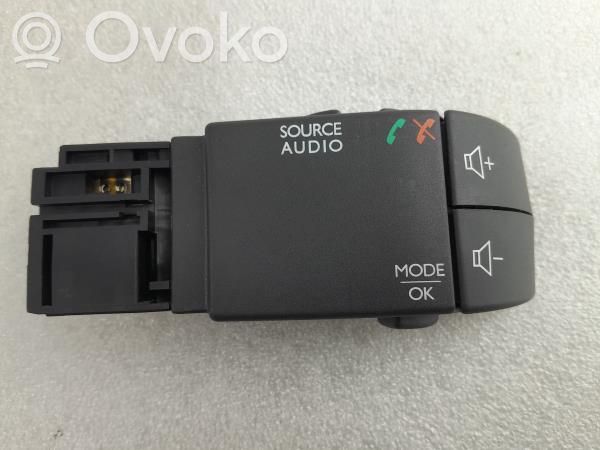 Multifunctional control switch/knob   255522446R