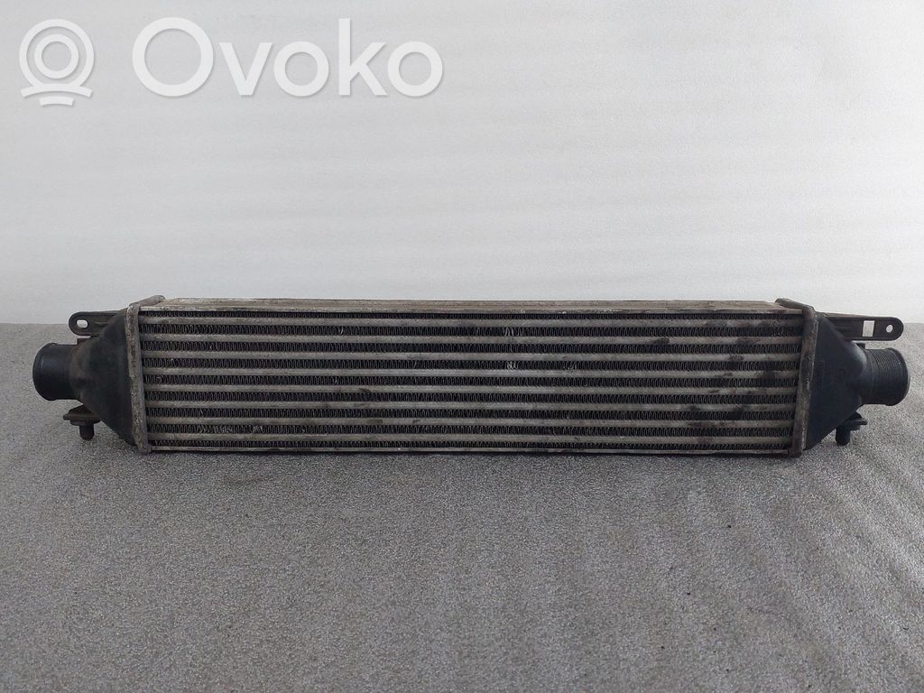 Interkūlerio radiatorius   866455500