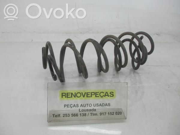 Rear coil spring