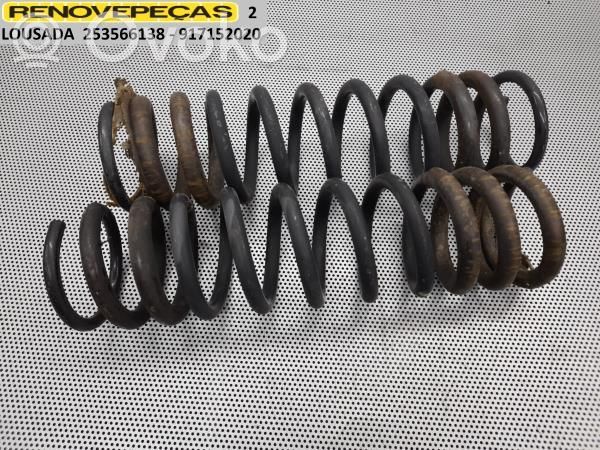 Rear coil spring