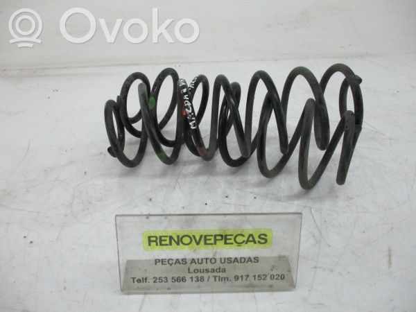 Rear coil spring