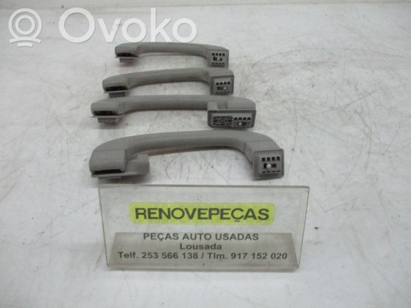 Front interior roof grab handle