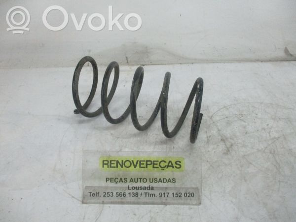 Front coil spring