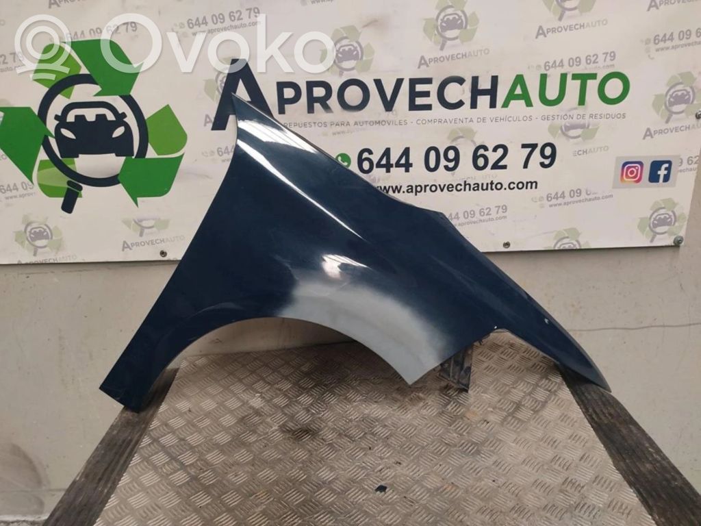 Citroen C4 I Picasso Priekinė arka 