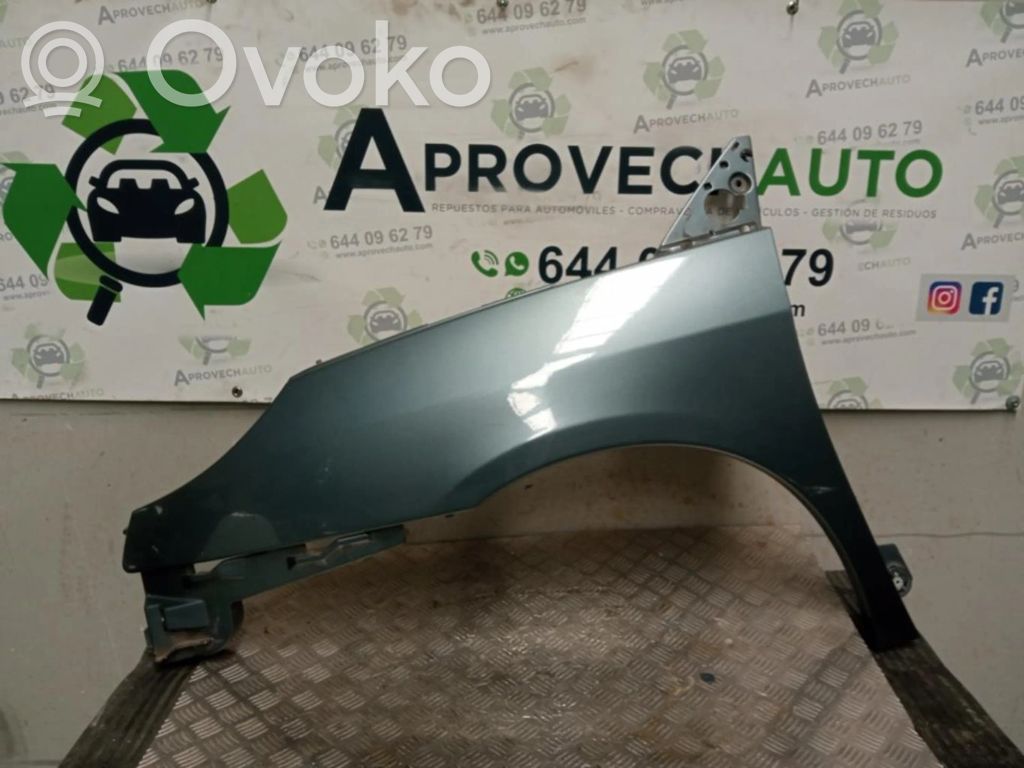 Peugeot 207 Radlauf vorne 