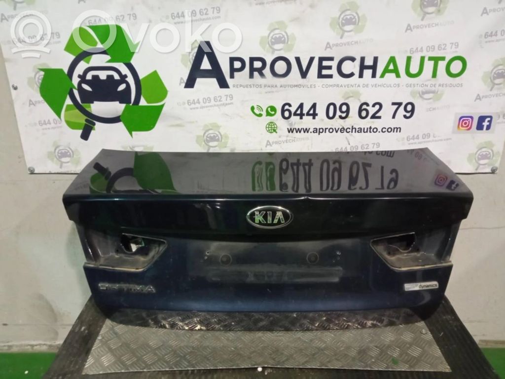 KIA Optima Rear door handle cover 