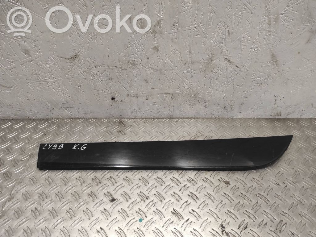 Audi A6 S6 C6 4F Rear door trim (molding) 