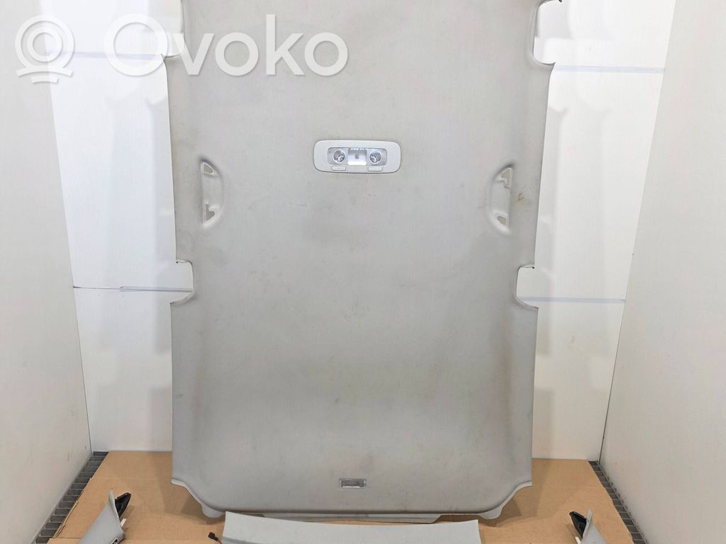 Volkswagen PASSAT B7 Комплект потолка 