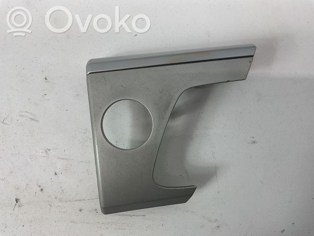 Moldura del panel (Usadas)   4990900