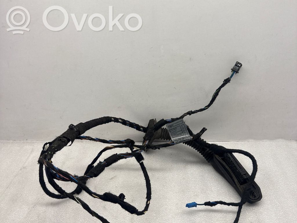 BMW 3 E90 E91 Priekšējo durvju vadu instalācija 