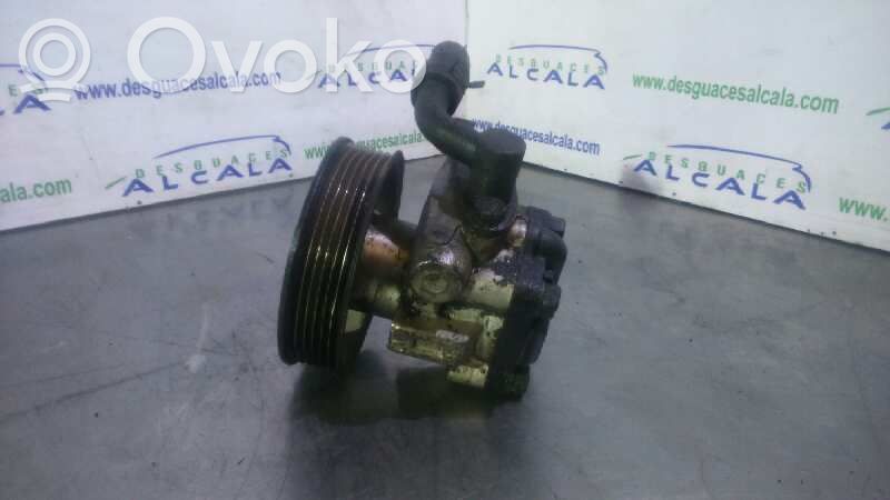 Hyundai Accent Power steering pump 
