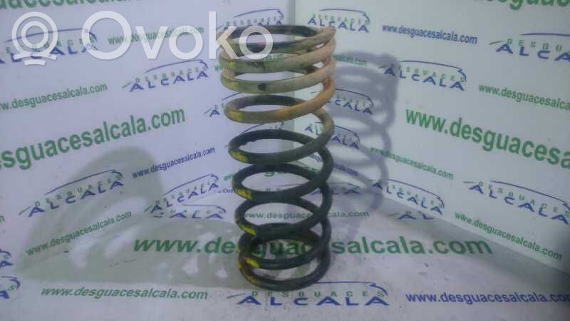 Front coil spring