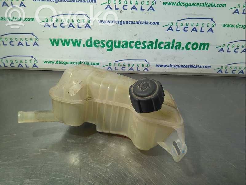 Renault Scenic II - Grand scenic II Vaso di espansione carburante