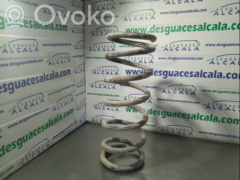 Nissan Pathfinder R51 Front coil spring 