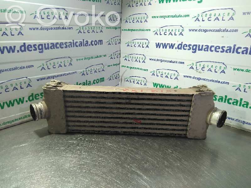 Intercooler radiator