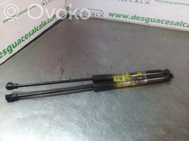 Renault Megane IV Amortiguador/puntal del capó/tapa delantero 