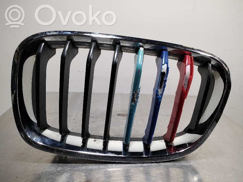 Fender grill   MALESTADO