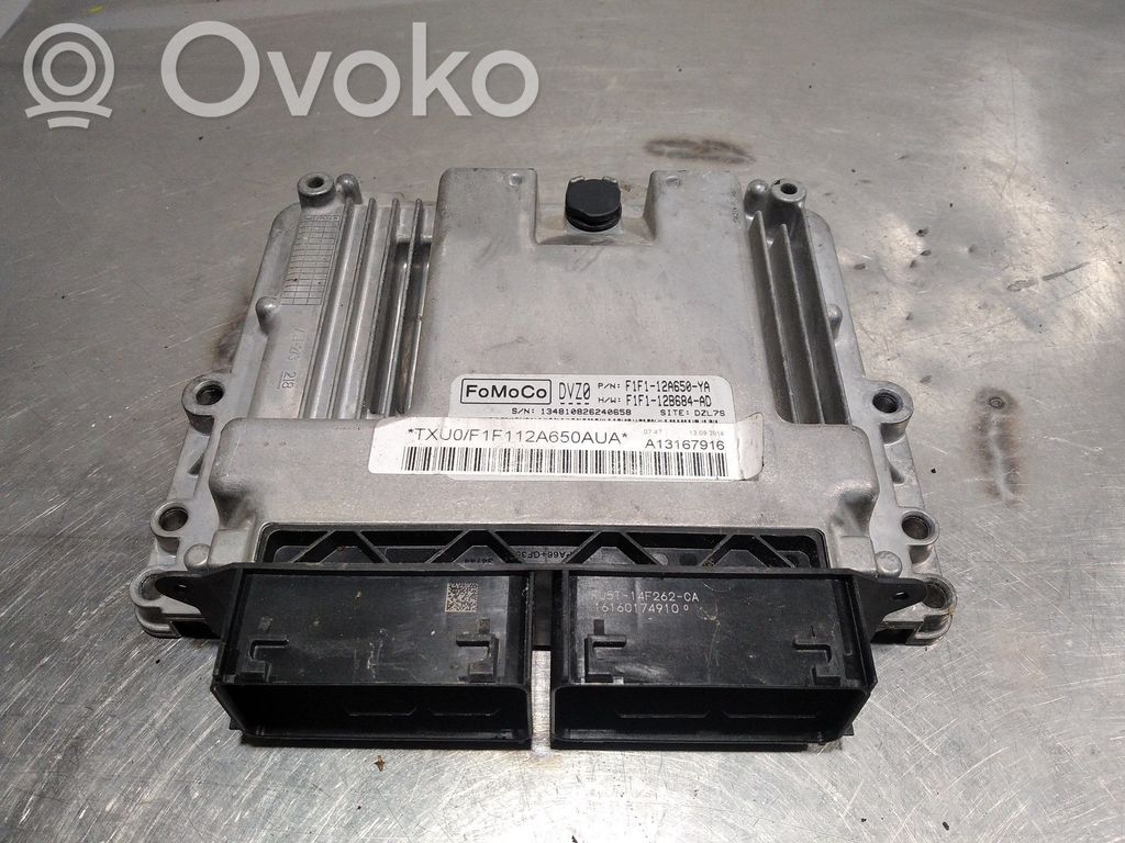 Ford Focus Engine control unit/module 
