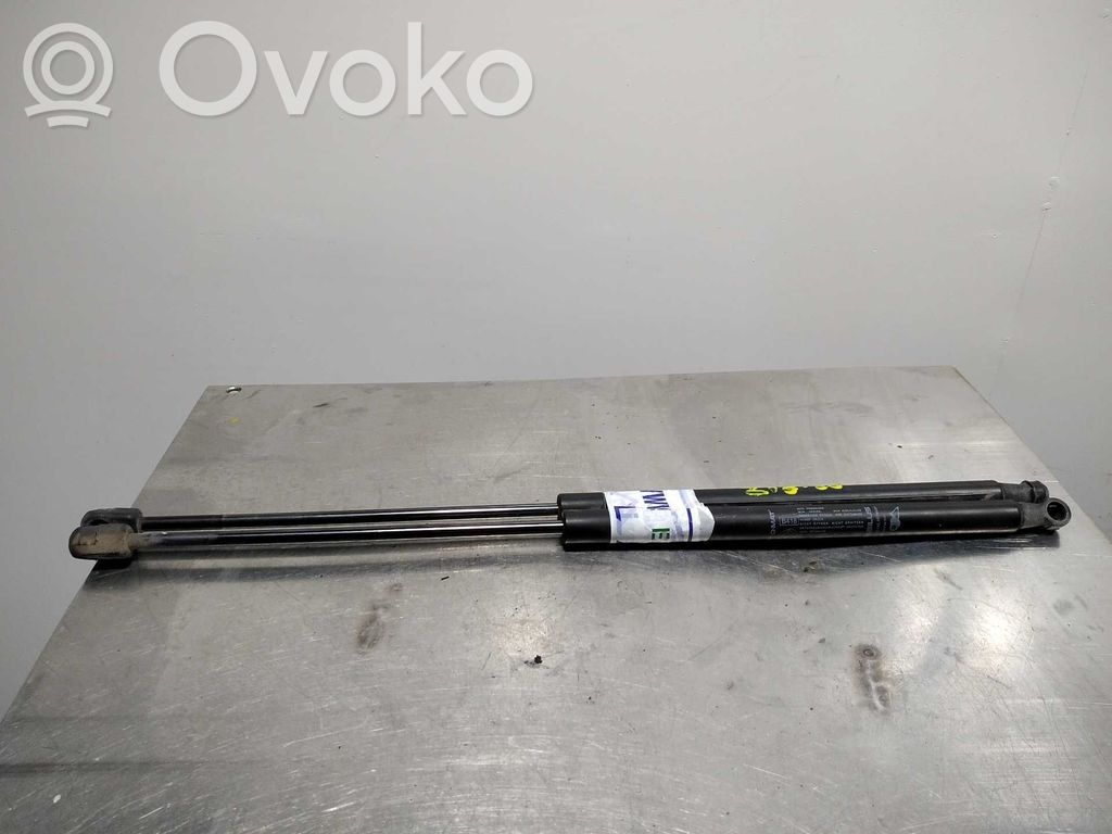 Tailgate/trunk strut/damper   50CM