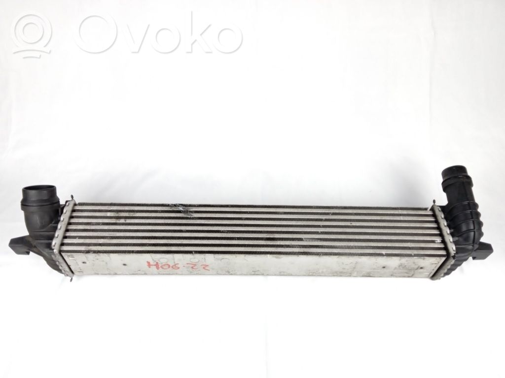 Renault Laguna III Intercooler radiator 