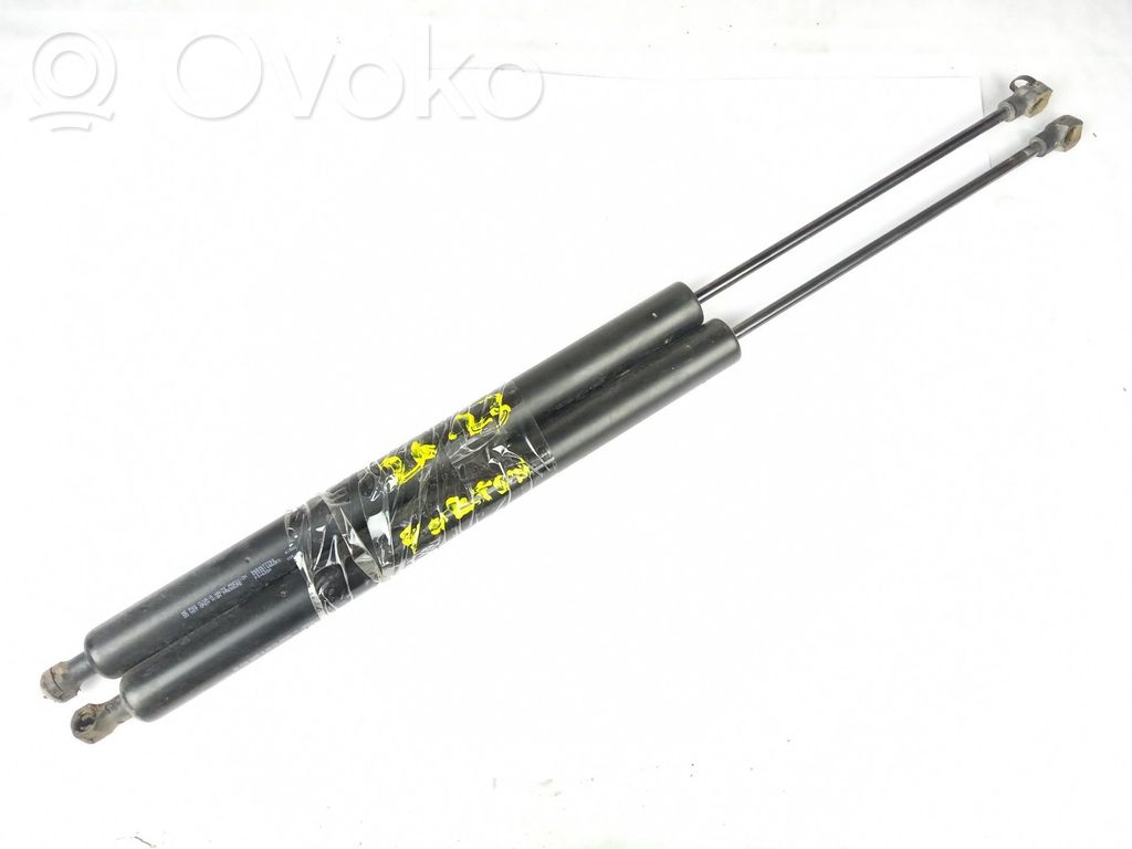 Tailgate/trunk strut/damper   968067780