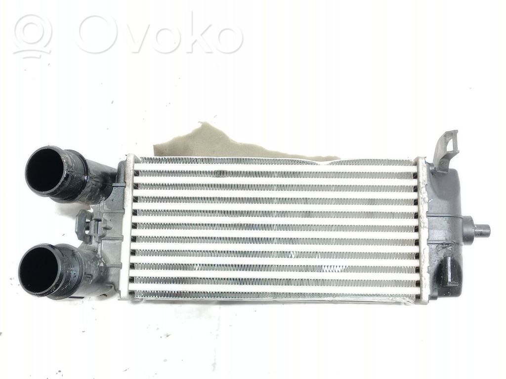 Ford Transit -  Tourneo Connect Coolant radiator 