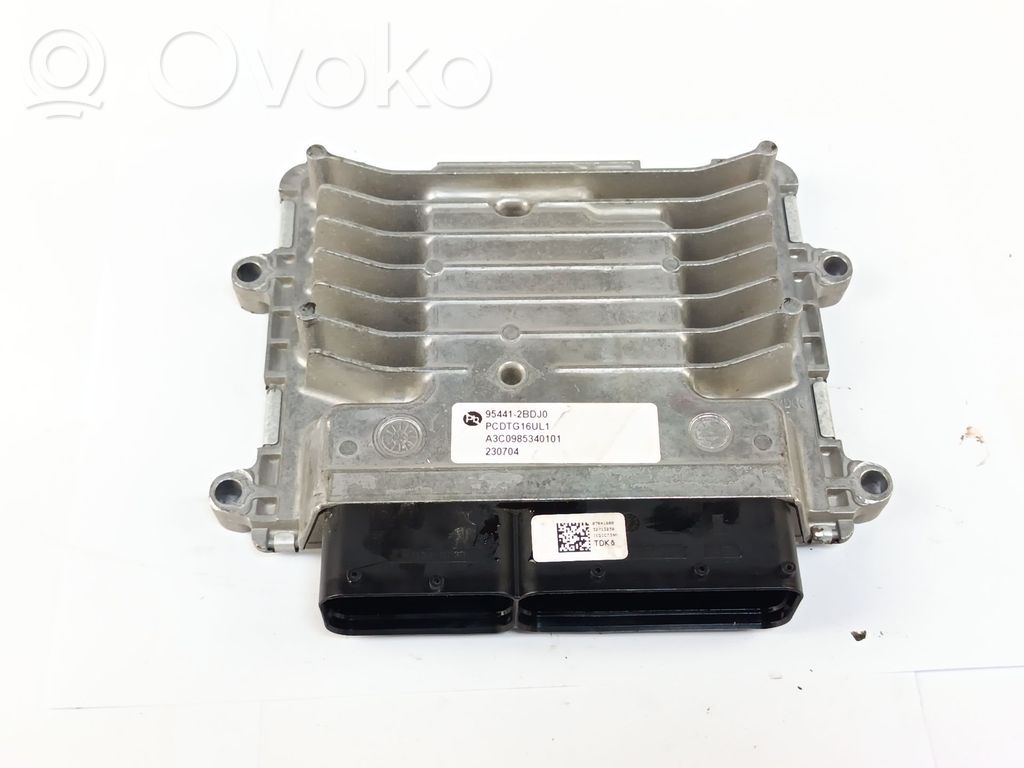Engine control unit/module   954412BDJ0