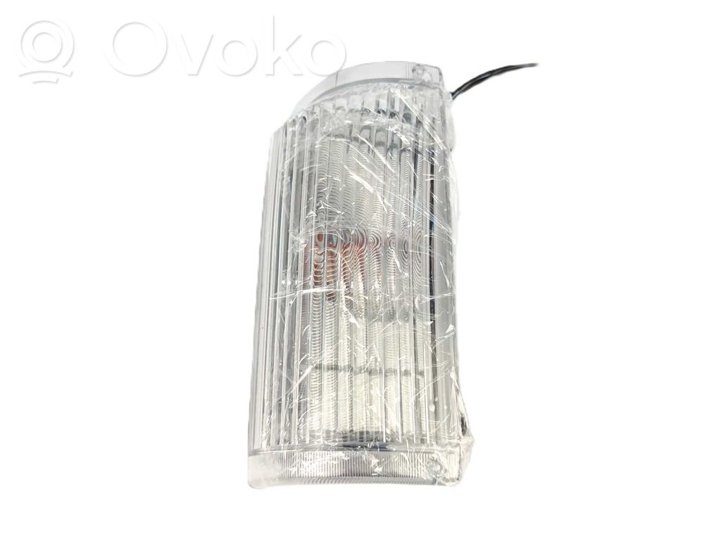 Frontblinker   26120G9801