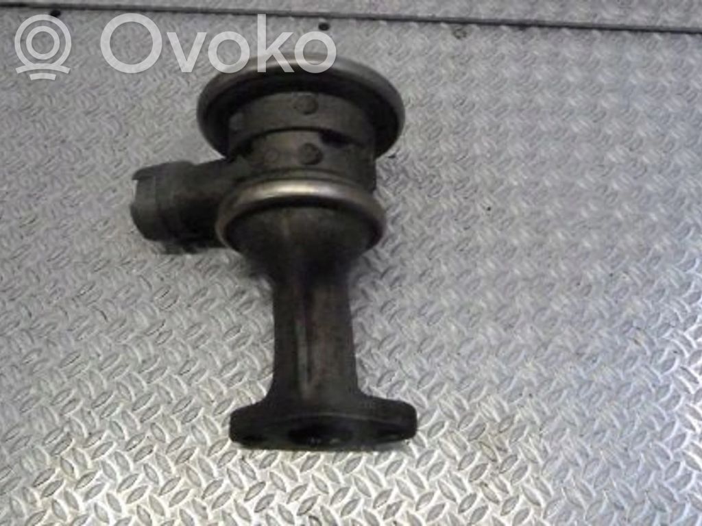 EGR vārsts   7557909