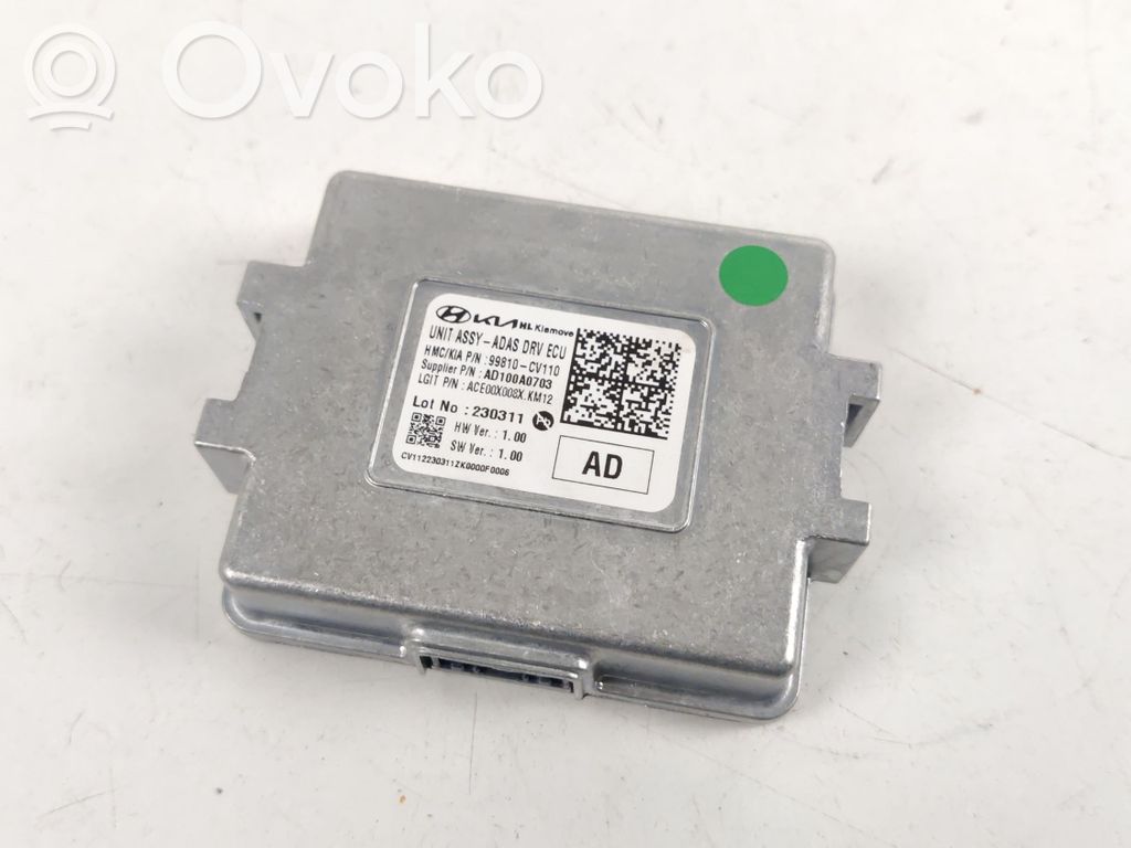 KIA EV6 Other control units/modules 