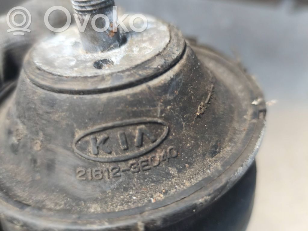 Engine mount bracket   218123E040