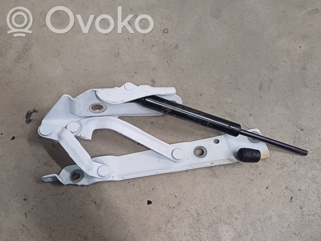 Tailgate/trunk/boot hinge   04569666AD