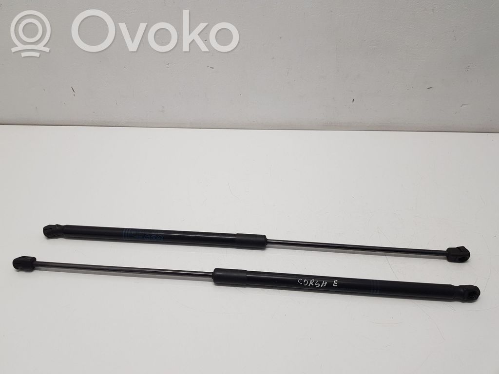 Opel Corsa E Tailgate/trunk strut/damper 